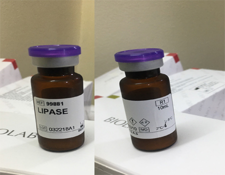 LIPASE (Kinetic Method)  + Calibrator