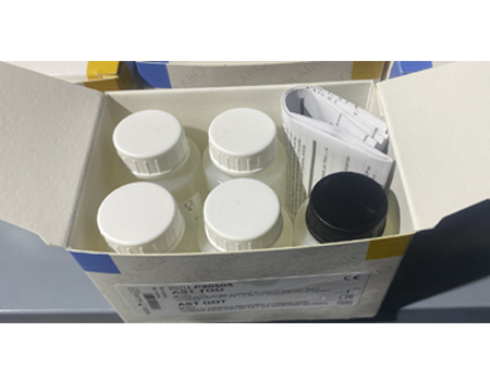 AST GOT (IFCC) Liquid Ready for use